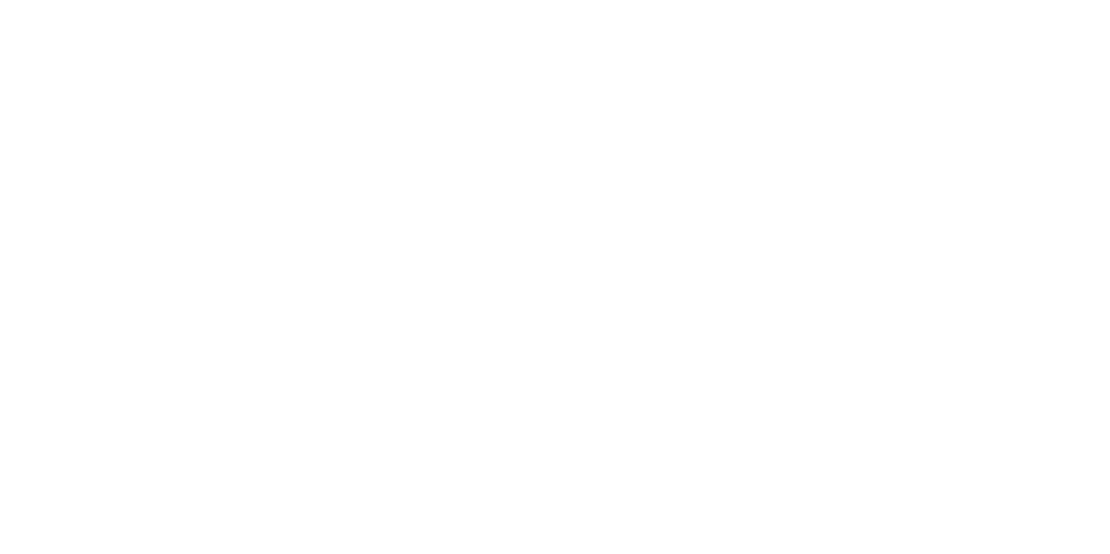 Smoothie Stick